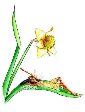 Welcome to Faerie Witch