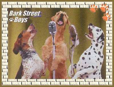 [Bark Street Boys]