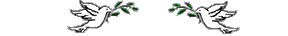 Dovebar.gif (1809 bytes)