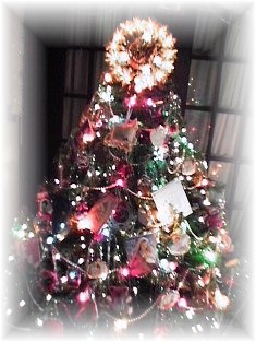 christm7.jpg (31268 bytes)