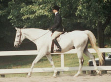 Louise showing at a hunter show