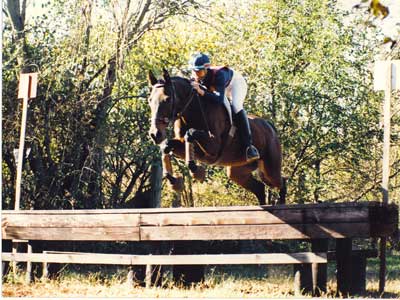 Louise jumping a cross county fence