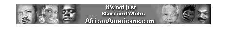 African Americans, The history of African Americans in the United States began in 1619 when a Dutch ship brought the first slaves from Africa to the shores of North America. Of all ethnic groups, African Americans were the only ones to arrive on these shores against their will. AfricanAmericans.com celebrates the role African Americans have played in U.S. history. This website strives to share with you the contributions that African Americans have made to our society. Blacks, Martin Luther King Jr., Rosa Parks, Jesse Jackson, Ella Fitzgerald, Billie Holiday, Malcolm X, Lena Horne, Paul Robeson, Nelson Mandela, Slavery, Emancipation Proclamation, Civil War and Everything For and About The African American Experience