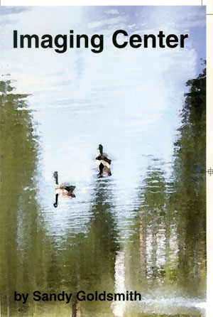 Imaging Center by Sandy Goldsmith