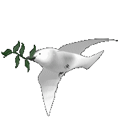 may this dove send its message of peace to the people of Iraq
