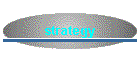 strategy