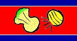 Kimchi & Insam's Aviation Page