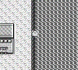 surfing on the half land/half water