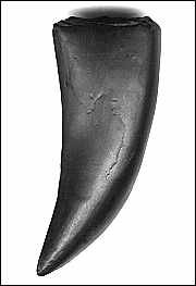 Klik for stort billede