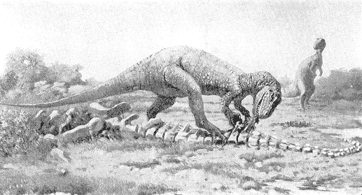 Allosaurus