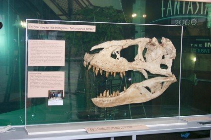 Tarbosaurus bataar