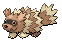 ZIGZAGOON restlessly wanders everywhere at all times. This POK�MON does so because it is very curious. It becomes interested in anything that it happens to see.
