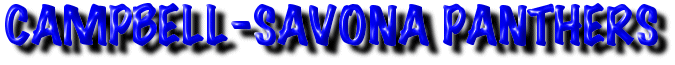 Campbell-Savona Panthers Baseball