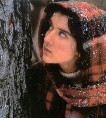 Des Fleurs sur la Neige