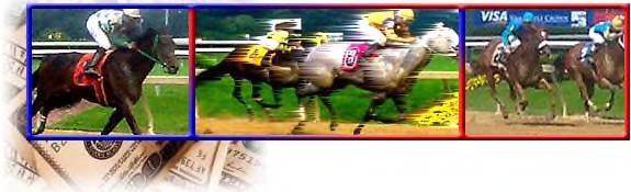 free horse racing tips