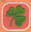 Sinead`s Shamrock