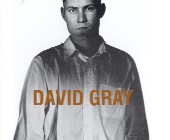 birds without wings [1993]