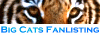 Big Cats