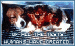 Stop Animal Testing