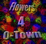 Enter O-Town's Flower Garden!