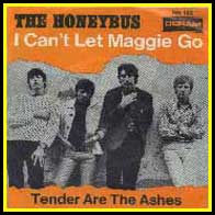 I Can't Let Maggie Go