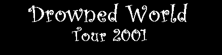 .:. Madonna Fan .:. [Drowned World Tour 2001]