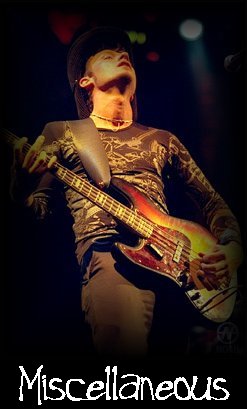 Miscellaneous Live Shots