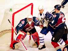 royleafs.jpg (10537 octets)