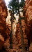 Bryce Canyon