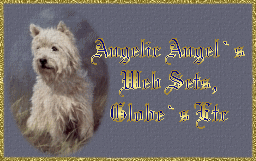Visit Angelic Angel`s Websets,Globes Calling Cards Etc