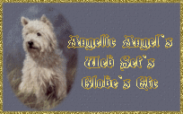 Visit Angelic Angel`s Websets,Globes Calling Cards Etc