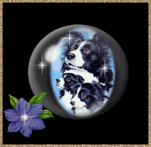 SMALLER THAN ACTUAL SIZE