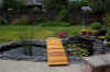 pond_2flowers.jpg (116124 bytes)