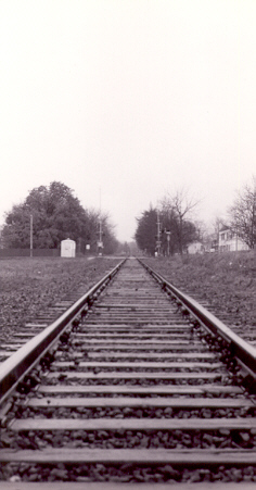 black and white photo niagara #3