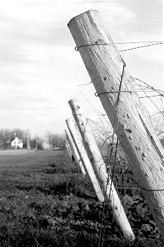 black and white photo niagara #1