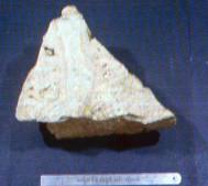 �� ��������� �� ��� ����� ��� ��������� ��� ��������