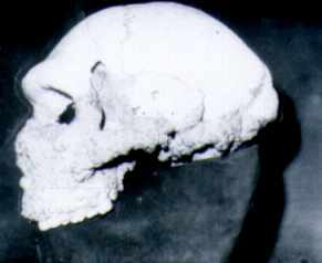 To ������ ��� ����������� �����������