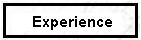 Experience