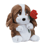 Sad Sam&reg; with Rose
Item#A21628
   Cost:$11.95
