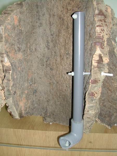 Another view of rear