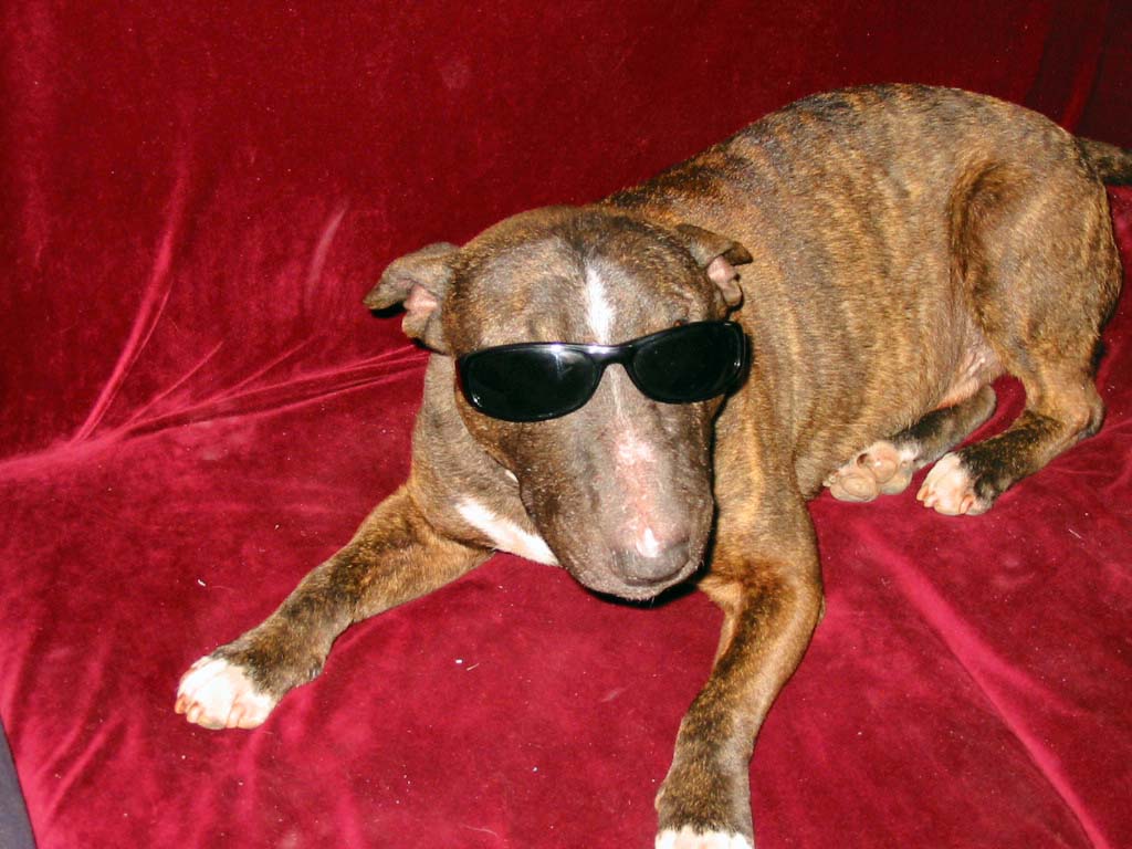 al30.jpg 
1,024 x 768 JPEG-compressed image 
(116,631 bytes)