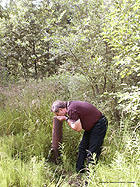 click here for enlargement