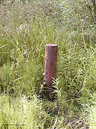 click here for enlargement