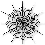 Spiders Web