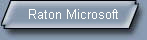 Raton Microsoft