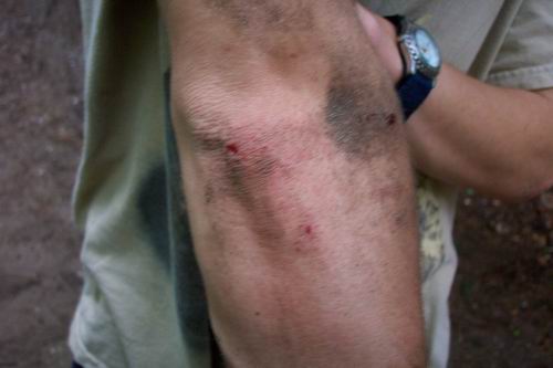 DCP_7526.JPG, 28-3-2002, 25 kB