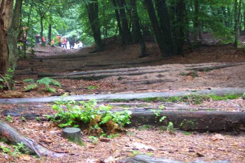 DCP_7528.JPG, 28-3-2002, 54 kB