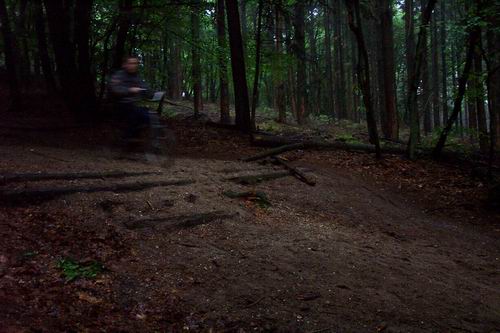 DCP_7539.JPG, 28-3-2002, 38 kB