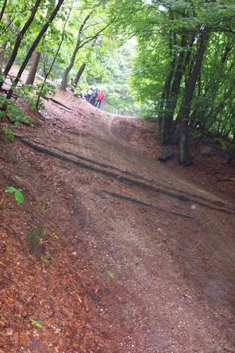 DCP_7556.JPG, 28-3-2002, 58 kB