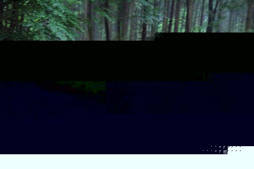 DCP_7562.JPG, 28-3-2002, 45 kB